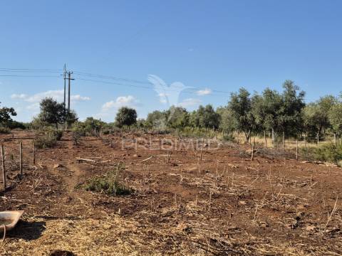 Terreno rustico