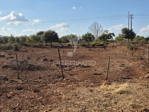 Terreno rustico