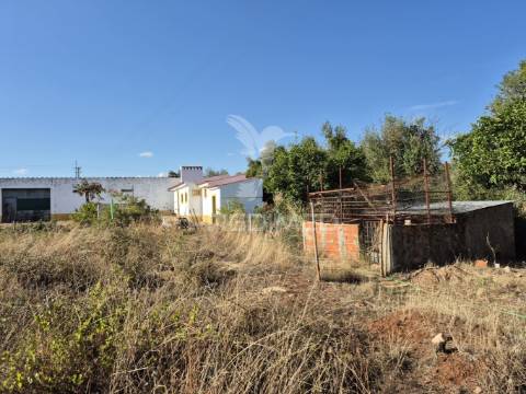 Terreno rustico