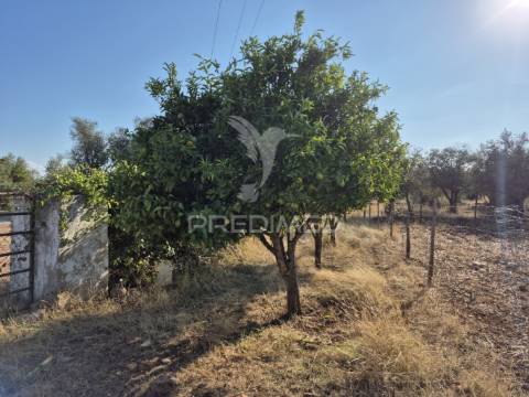 Terreno rustico