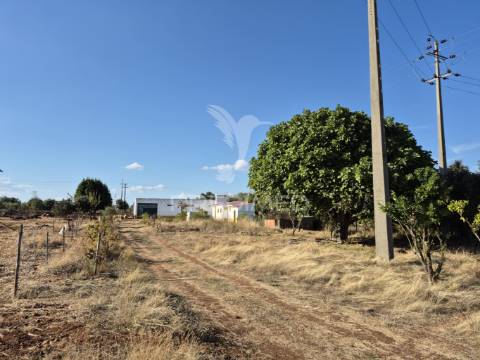 Terreno rustico
