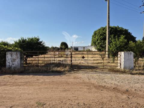 Terreno rustico