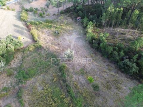 Terreno rústico com 5.160 m² — arneiro das milhariças, santarém