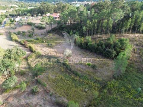 Terreno rústico com 5.160 m² — arneiro das milhariças, santarém