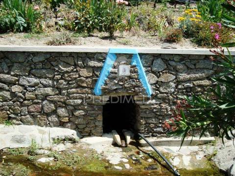 Quinta com piscina, pomar e vinha – pronta a habitar em alagoa (portalegre) ☀️