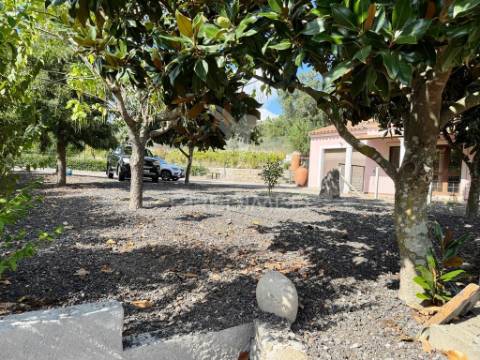 Quinta com piscina, pomar e vinha – pronta a habitar em alagoa (portalegre) ☀️