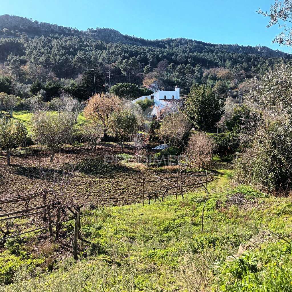 Quinta agricola