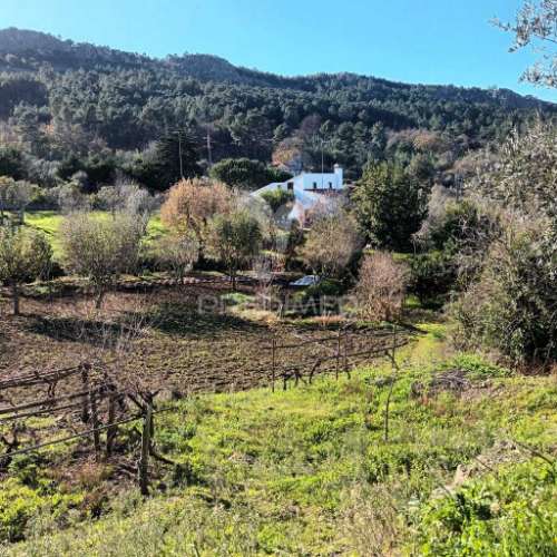 Quinta agricola