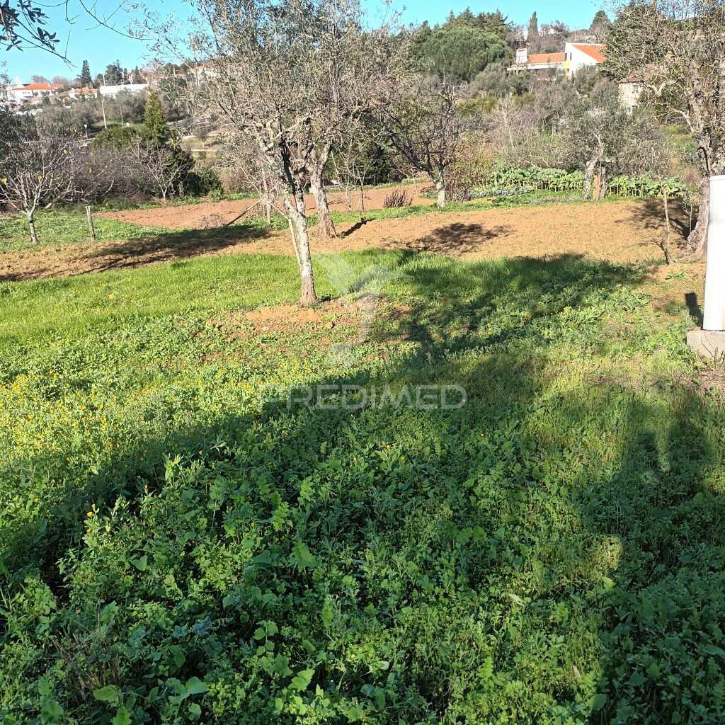 Quinta agricola