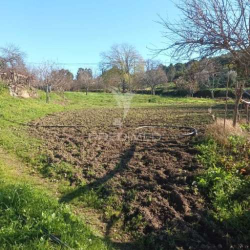 Quinta agricola