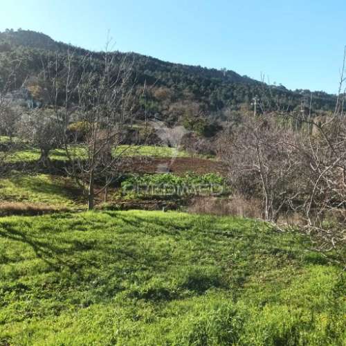 Quinta agricola