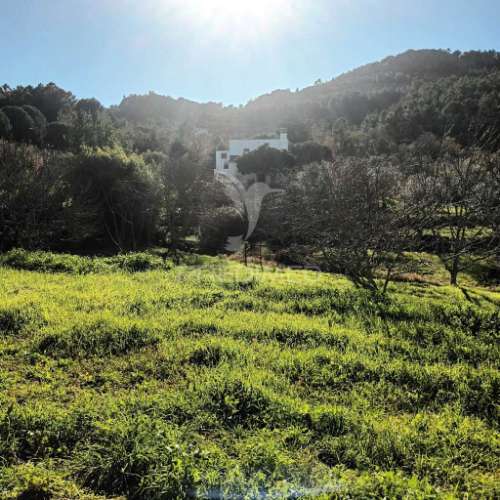Quinta agricola