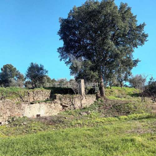 Quinta agricola