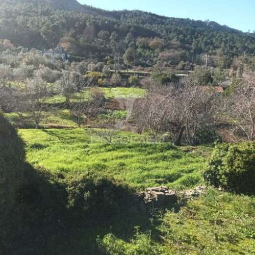 Quinta agricola
