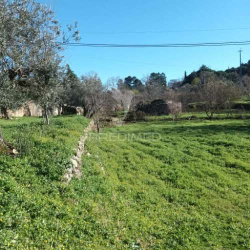 Quinta agricola