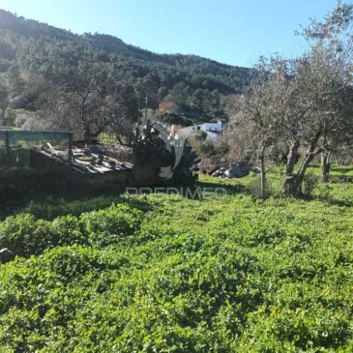 Quinta agricola