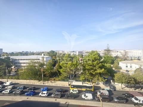 T3 remodelado com 117 m² | piso alto com elevador | entrecampos