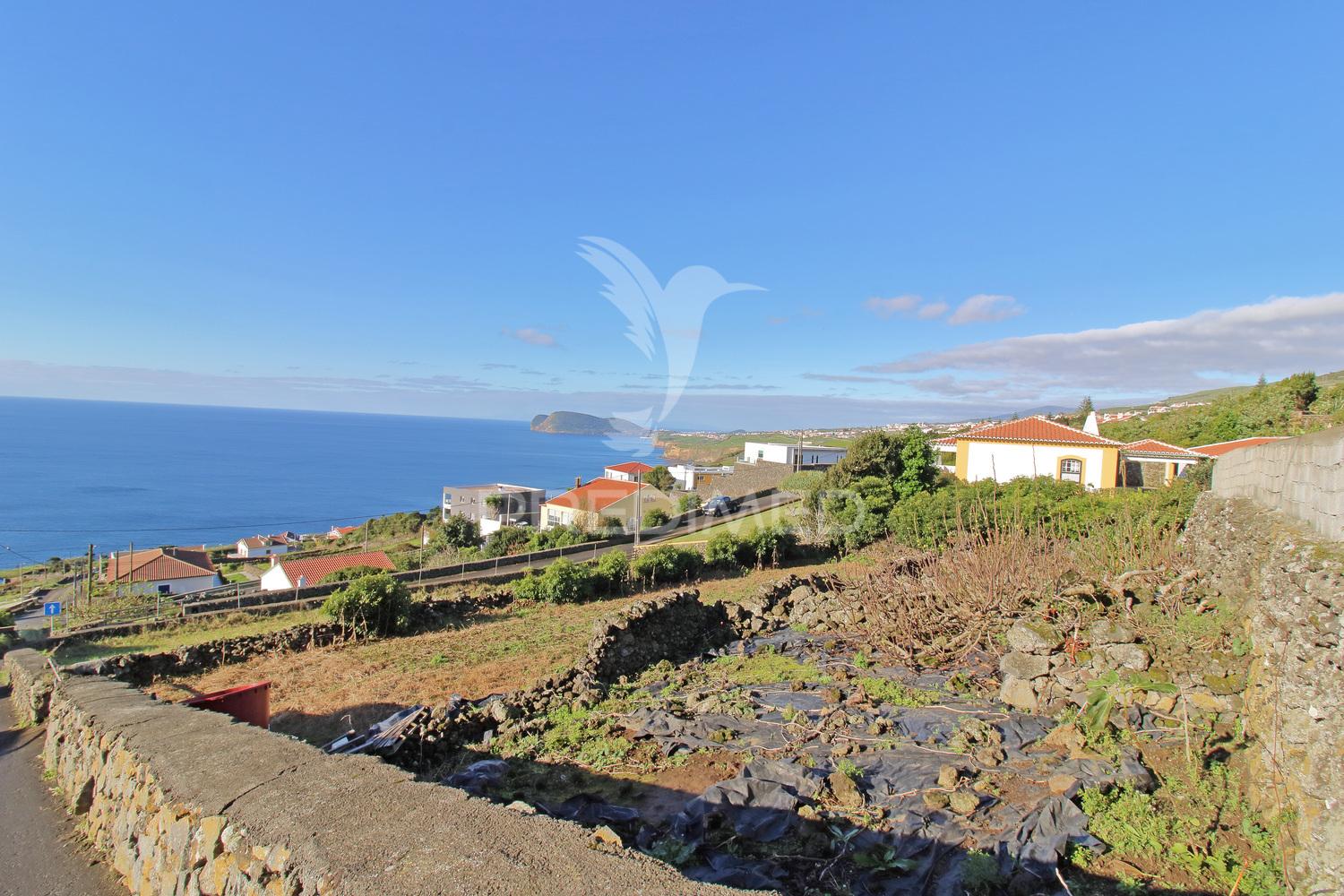 Terreno para construção – feteira, lugar da serretinha (1452 m²)