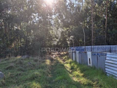 Terreno gaula