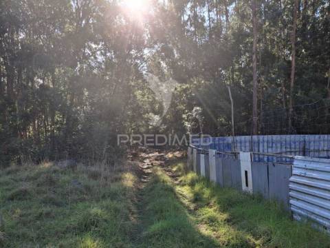 Terreno gaula