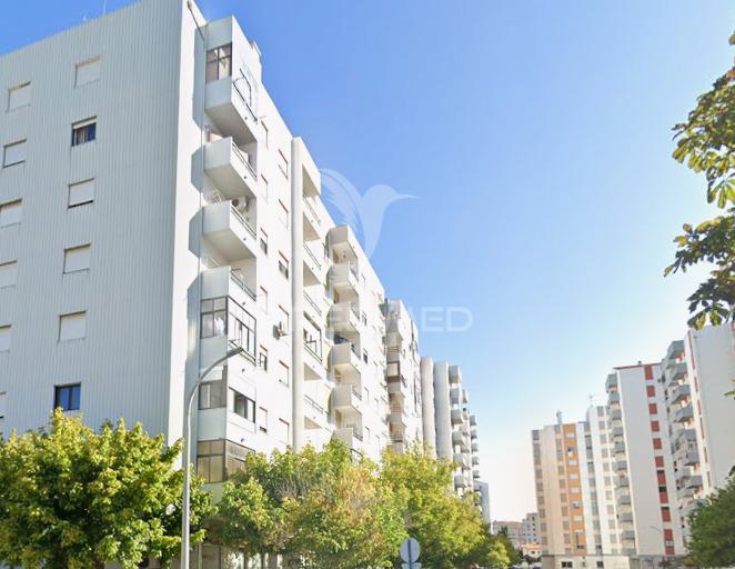 T3 castelo branco