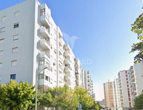 T3 castelo branco
