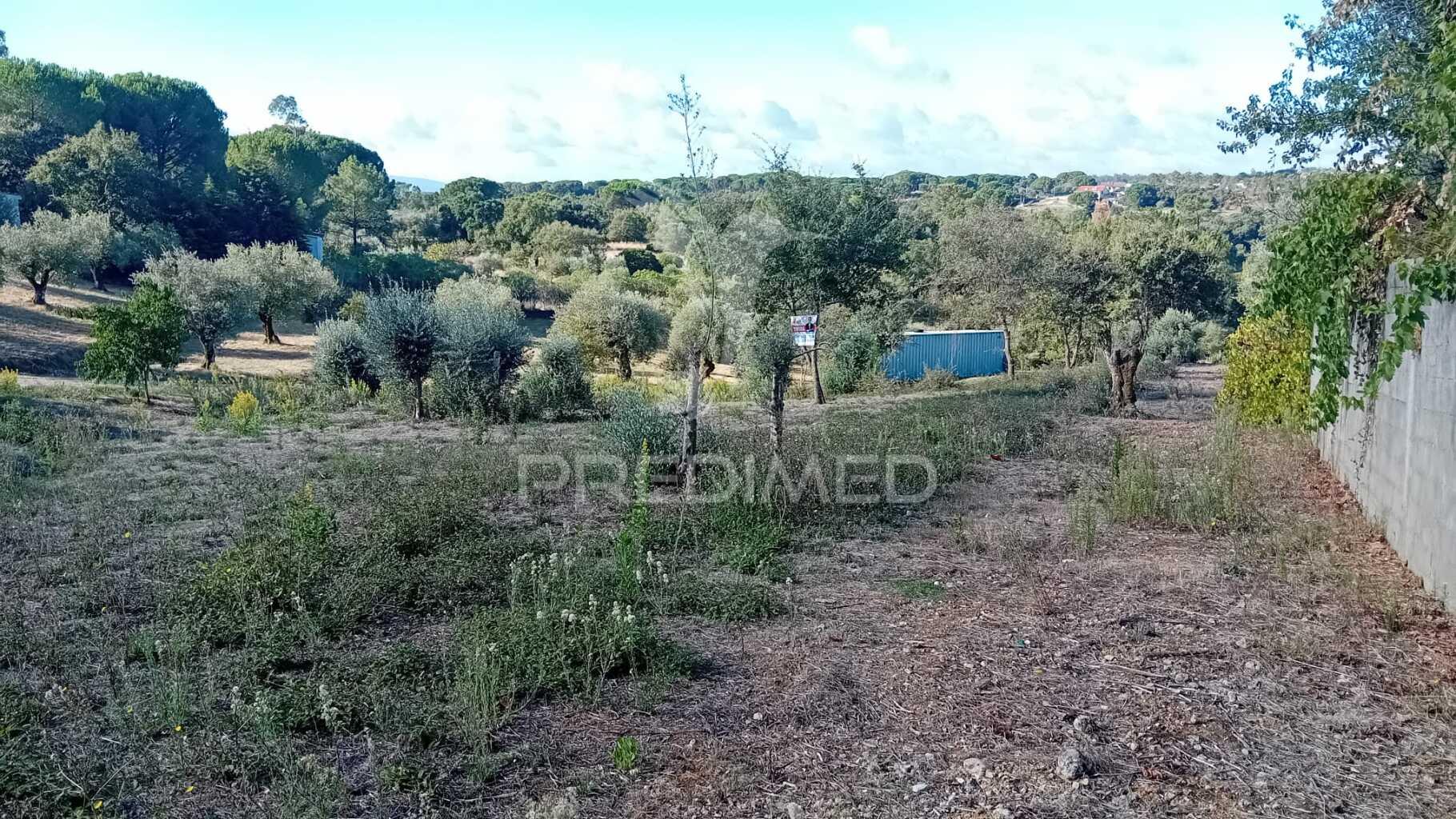 Terreno para construção em seiça
