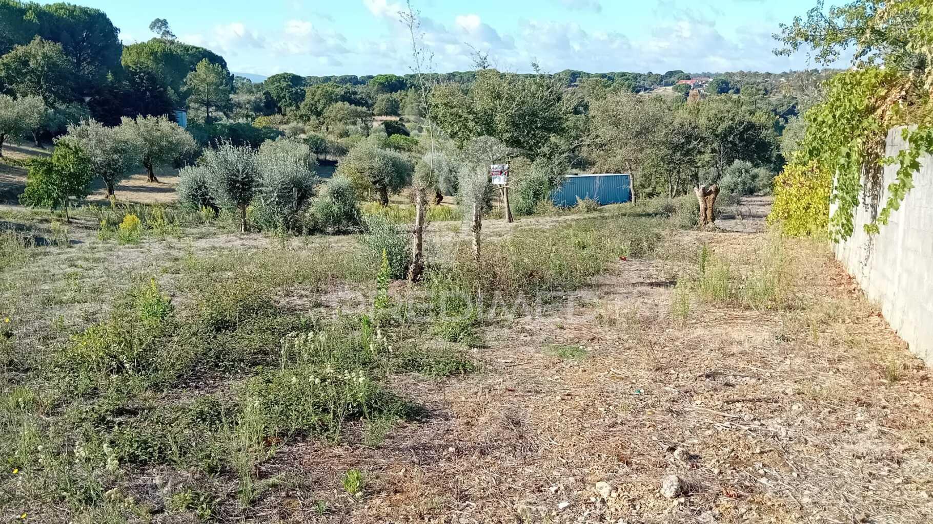Terreno para construção em seiça