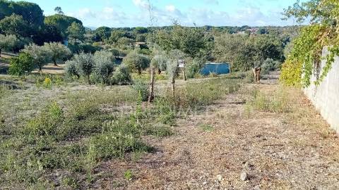 Terreno para construção em seiça