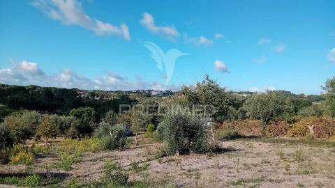 Terreno para construção em seiça