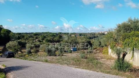 Terreno para construção em seiça