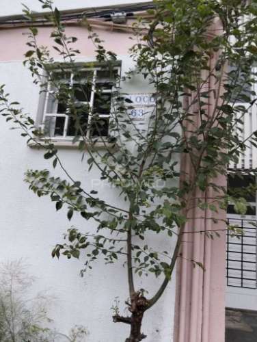 Apartamento t3 - 2º