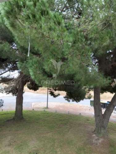 Apartamento t3 - 2º