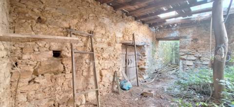 Casa senhorial com história e potencial — para reabilitar!
