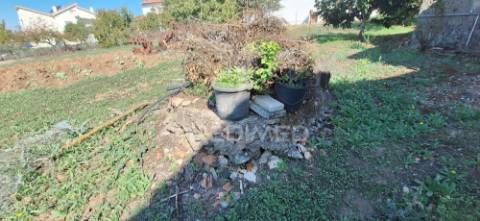 Casa senhorial com história e potencial — para reabilitar!