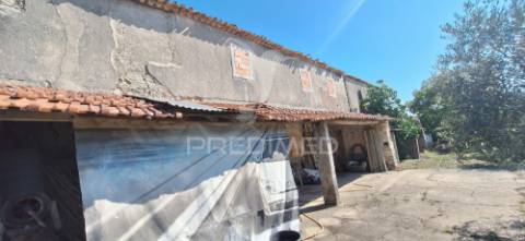 Casa senhorial com história e potencial — para reabilitar!