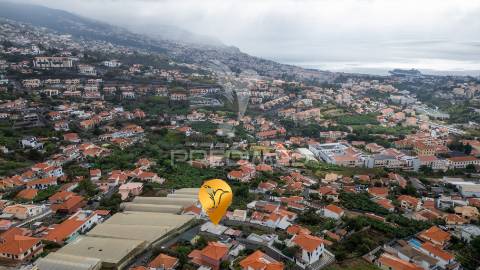 Terreno funchal