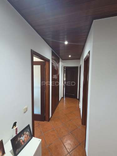 T2 ao colégio dos carvalhos