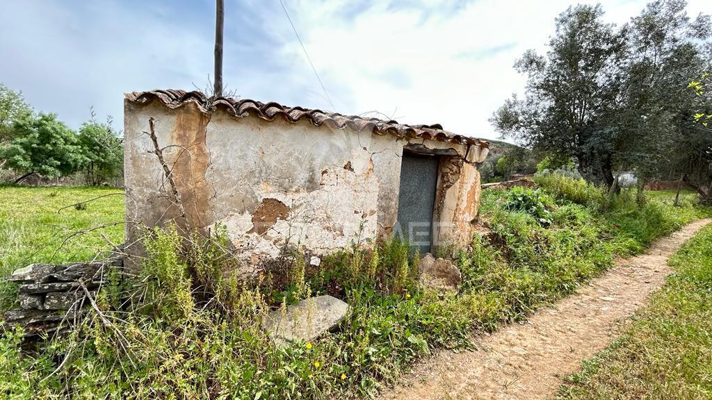 Terreno misto