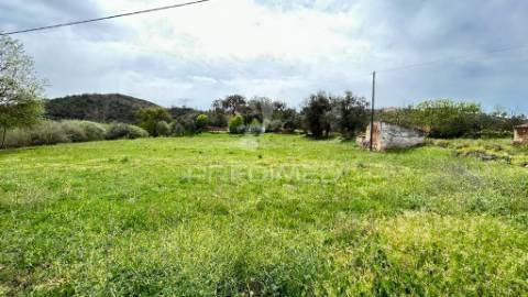 Terreno misto