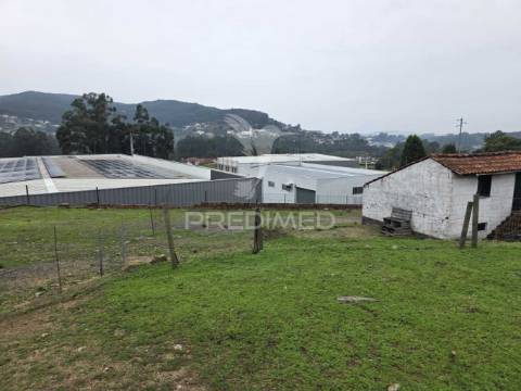 Armazém (serração) zona industrial de carvoeiro