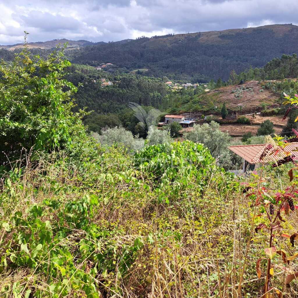 Terreno c/projeto aprovado de vivenda c/pisicina
