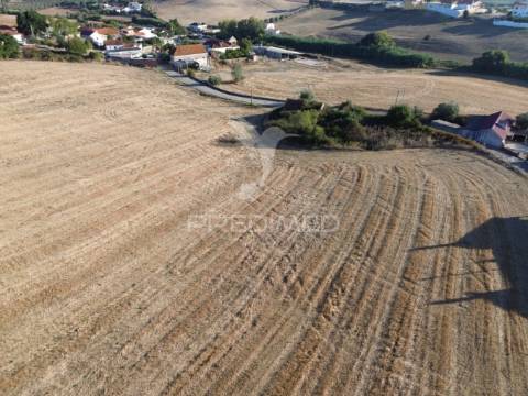 Oportunidade única! moradia t3 para restaurar com terreno - nabais -santarém