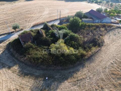 Oportunidade única! moradia t3 para restaurar com terreno - nabais -santarém