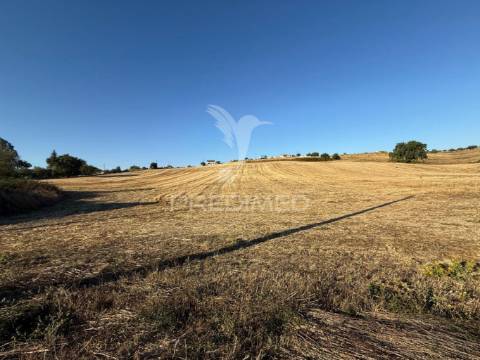 Oportunidade única! moradia t3 para restaurar com terreno - nabais -santarém