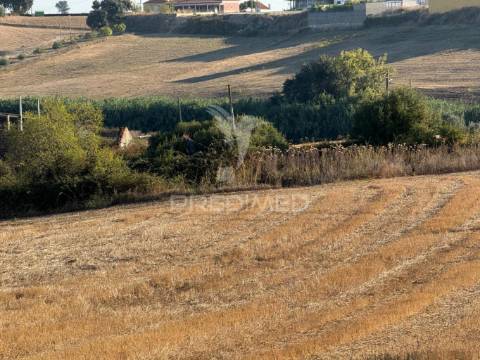 Oportunidade única! moradia t3 para restaurar com terreno - nabais -santarém