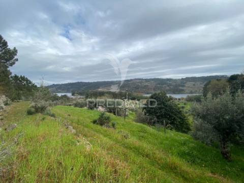 Vende quinta com 5 hectares junto ao rio dão