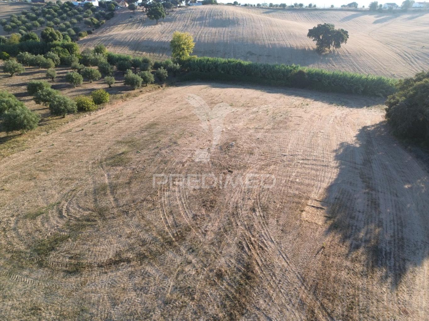 Terreno rústico em nabais – santarém | 10.800 m²