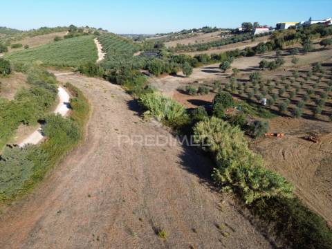 Terreno rústico em nabais – santarém | 10.880 m²