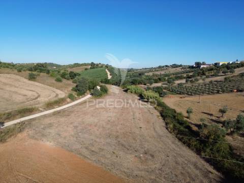 Terreno rústico em nabais – santarém | 10.880 m²
